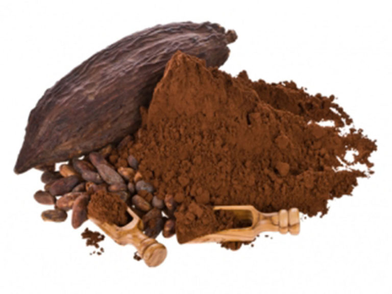 Какао-порошок алкализованный_1